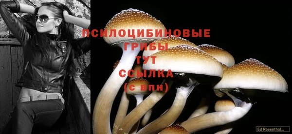спайс Няндома