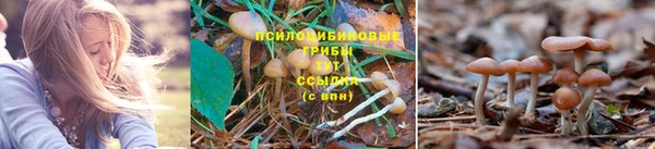 спайс Няндома