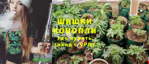 спайс Няндома